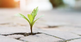 Fostering Productive Struggle and Engagement for Multilingual Learners with Eureka Math²