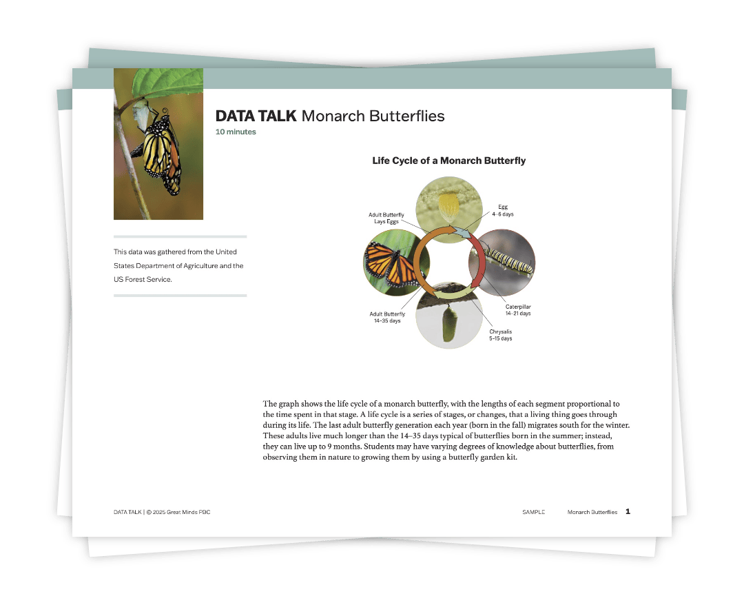 Data Talks - Monarch Butterflies