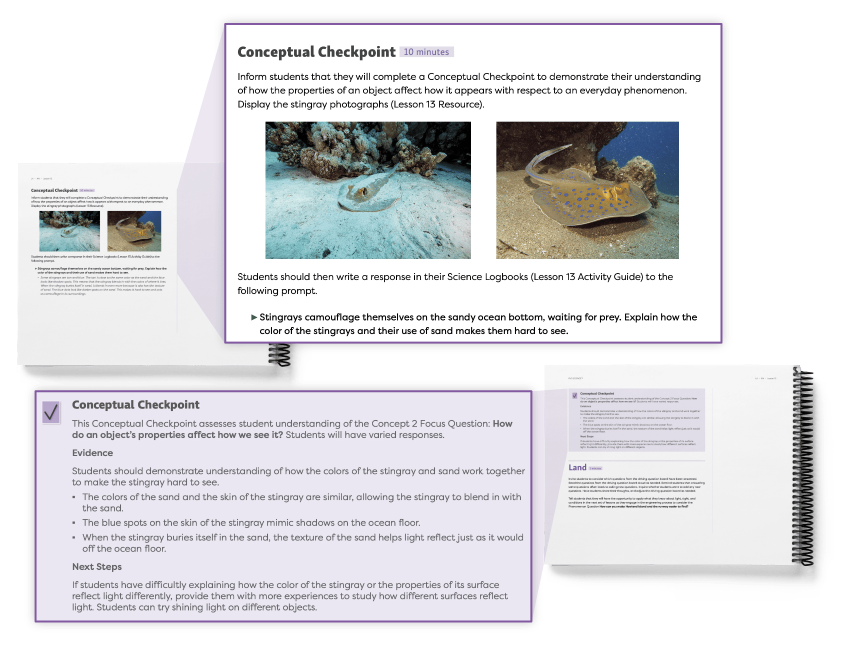A Conceptual Checkpoint that includes images of stingrays